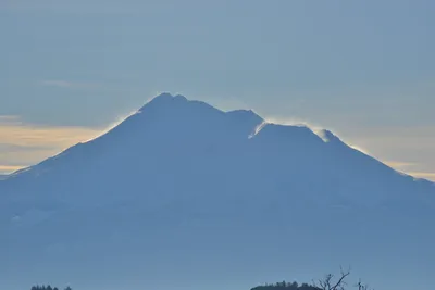 DSC_6025 (Large).JPG